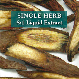 Salvia miltiorrhiza root - Dan Shen