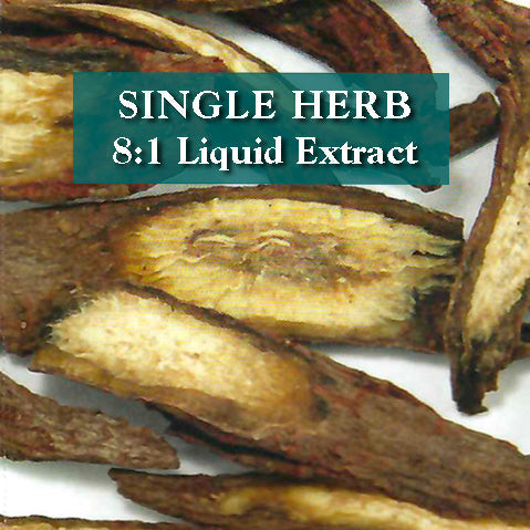 Salvia miltiorrhiza root - Dan Shen